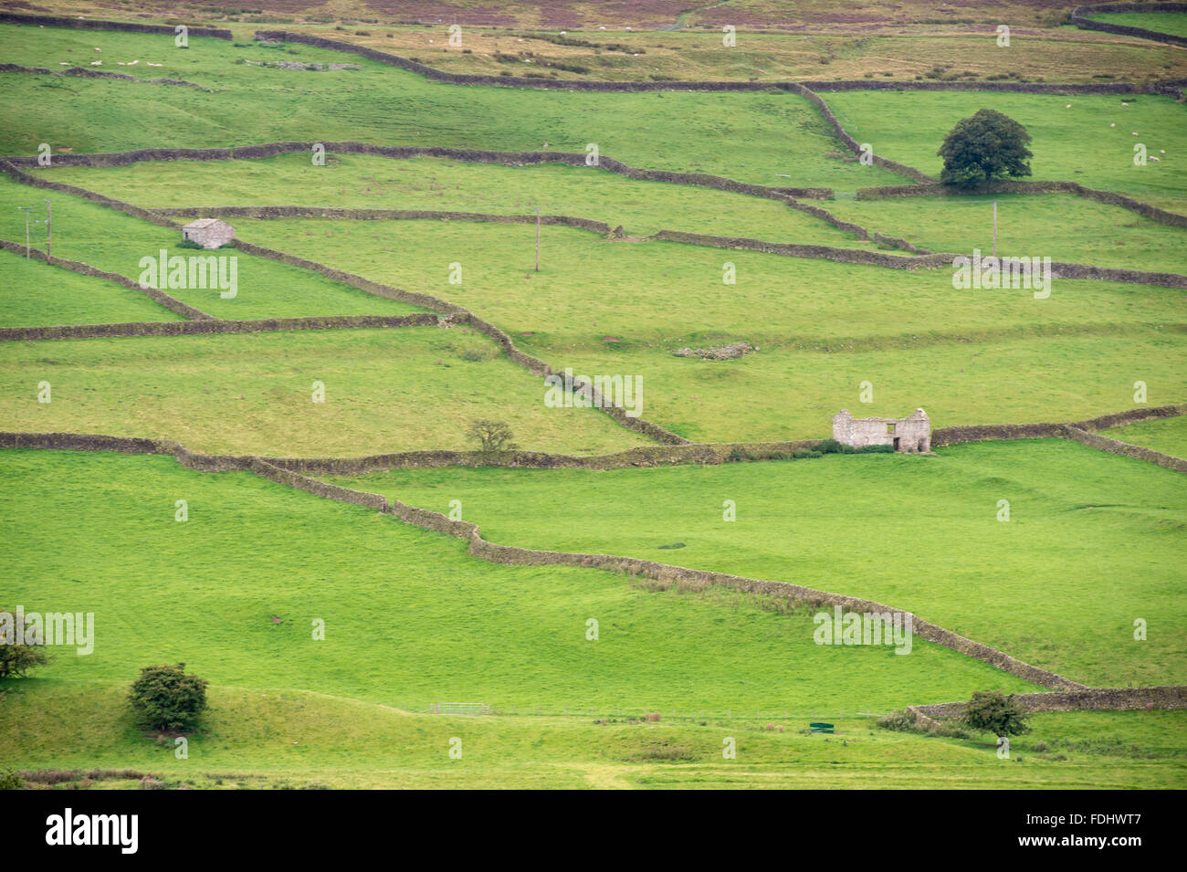 Yorkshire Dales in Yorkshire, England, Vereinigtes Königreich Stockfoto