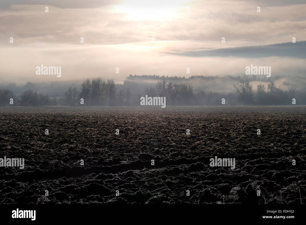Landschaft mit Nebel und gepflügtes Feld. Stockfoto