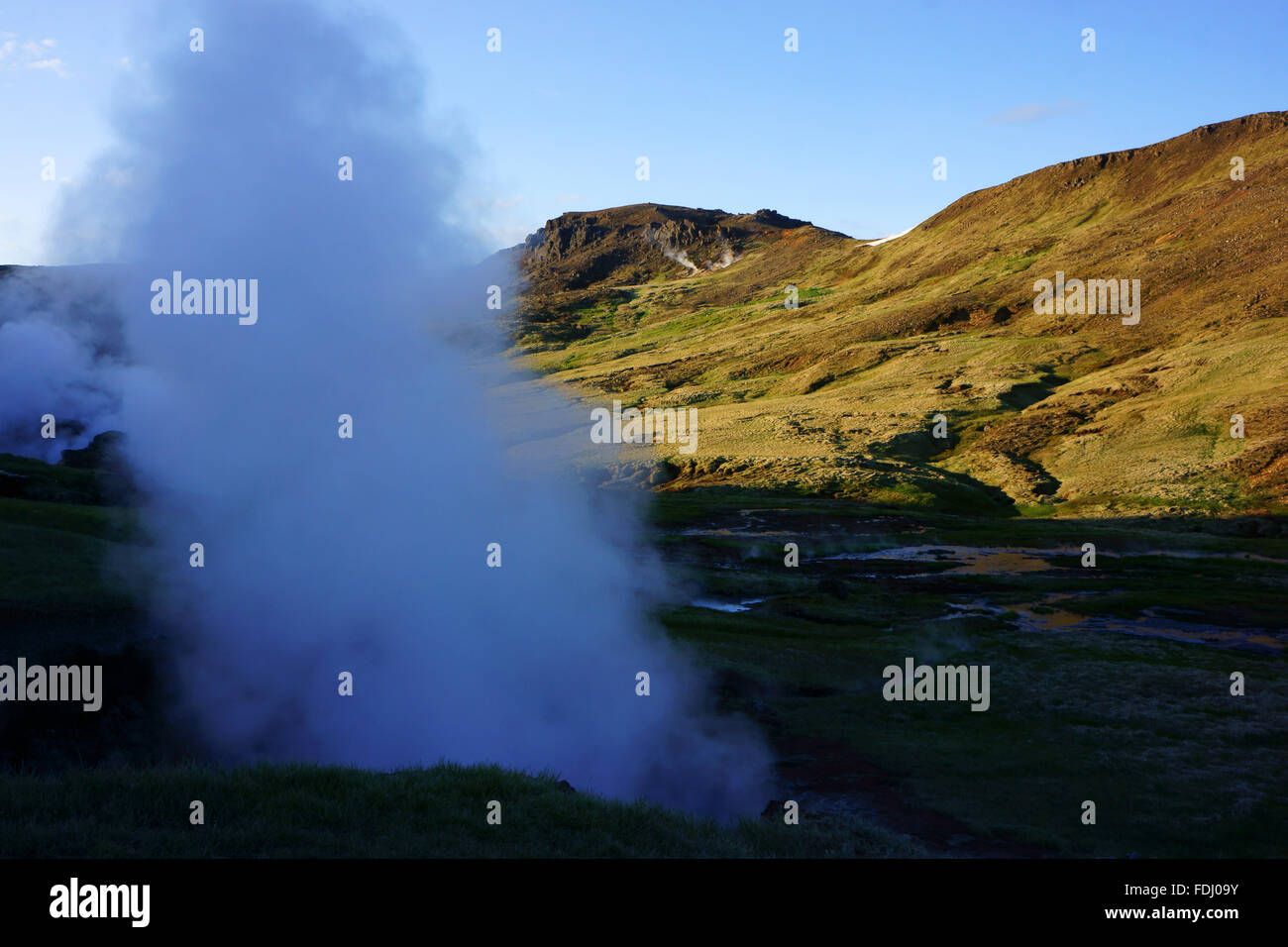 Sprudel und dampfenden Vent, Hengill Berge, Hveragerdi, SW Island Stockfoto