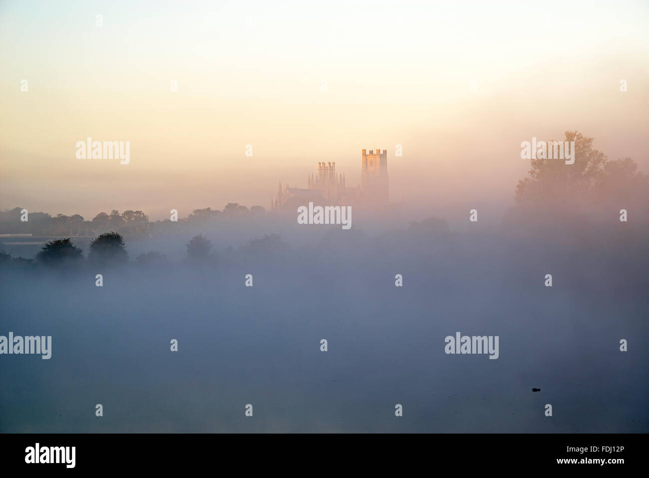 Ely Kathedrale ergibt sich aus der herbstlichen Nebel Stockfoto