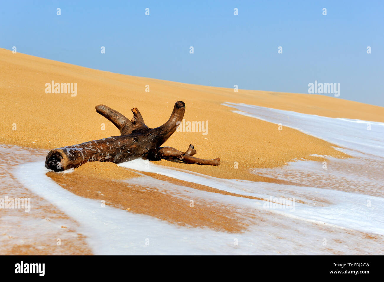 Große Filiale wird von Wellen an einem tropischen Strand gewaschen. Stockfoto