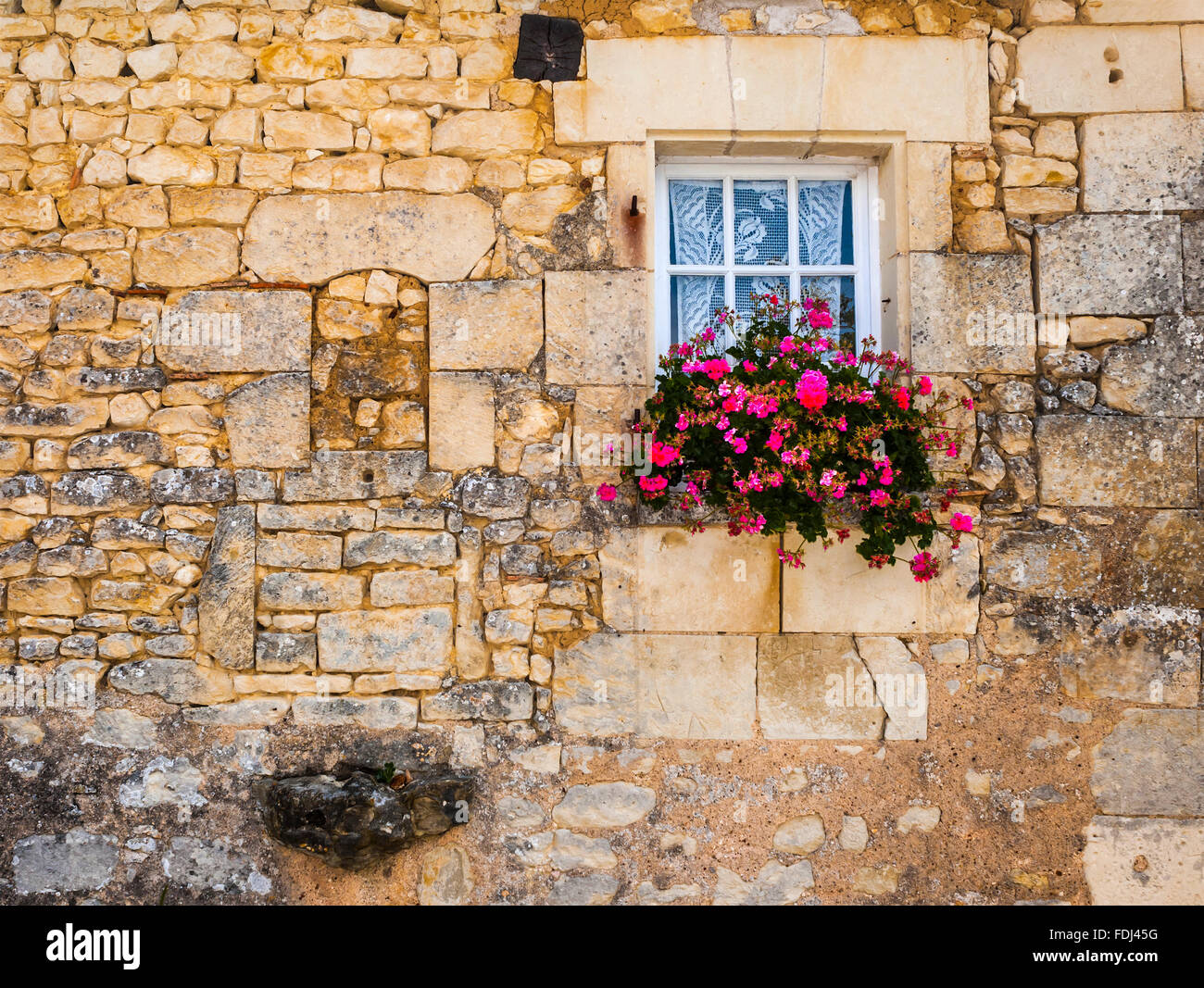 Traditionelles altes Steinhaus Wand- und Fenster-Box - Frankreich. Stockfoto