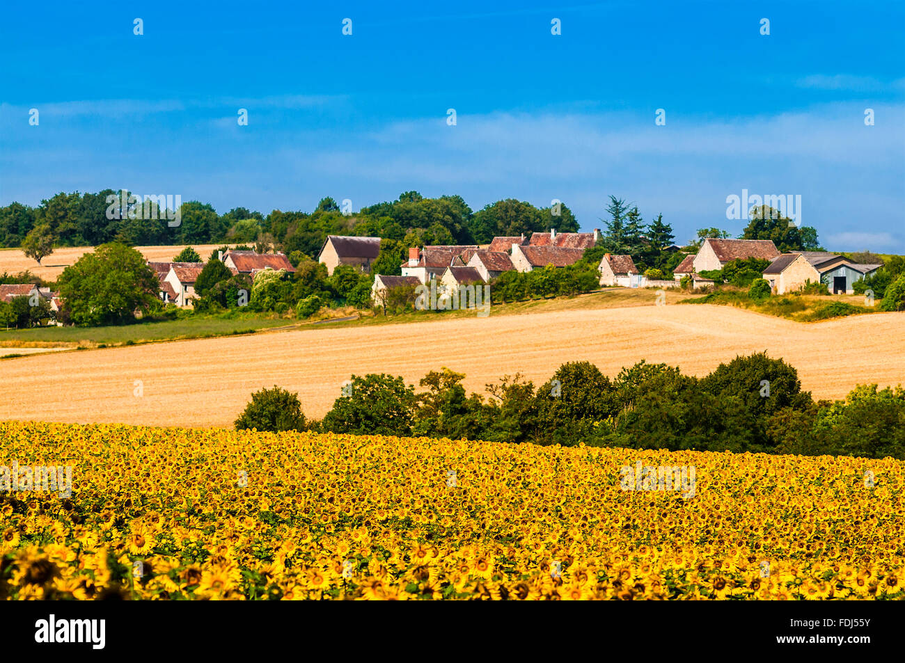 Traditionelle alte Steindorf, Häuser und Scheune auf Land - Frankreich. Stockfoto