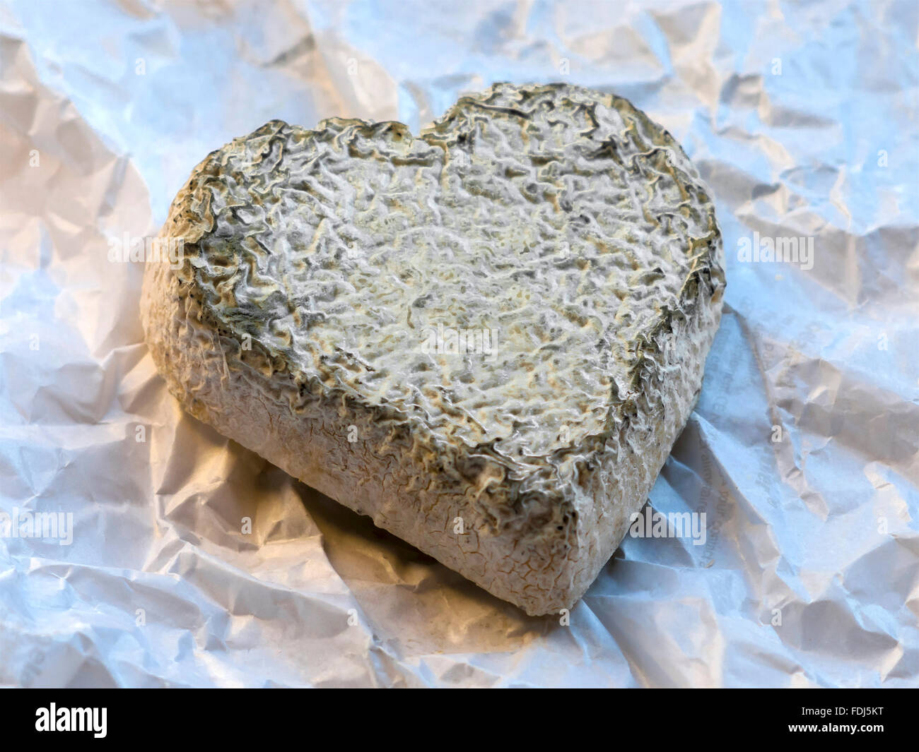 Handgemachten Ziegenkäse - Frankreich. Stockfoto