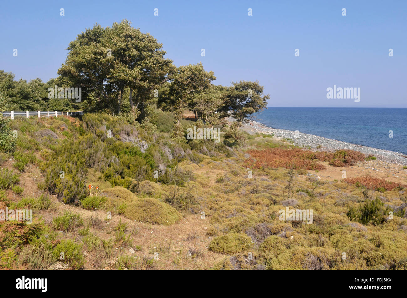die Vegetation entlang der Küste der Insel Samothraki, Griechenland Stockfoto