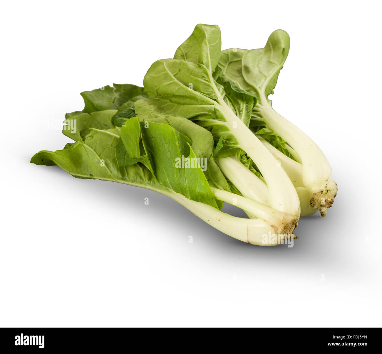 Organische grosse Orange isoliert auf weißem Stockfoto