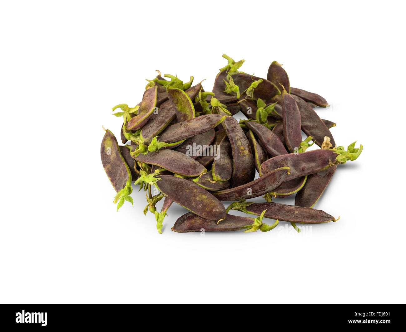 Organic lila Mange Tout Stockfoto