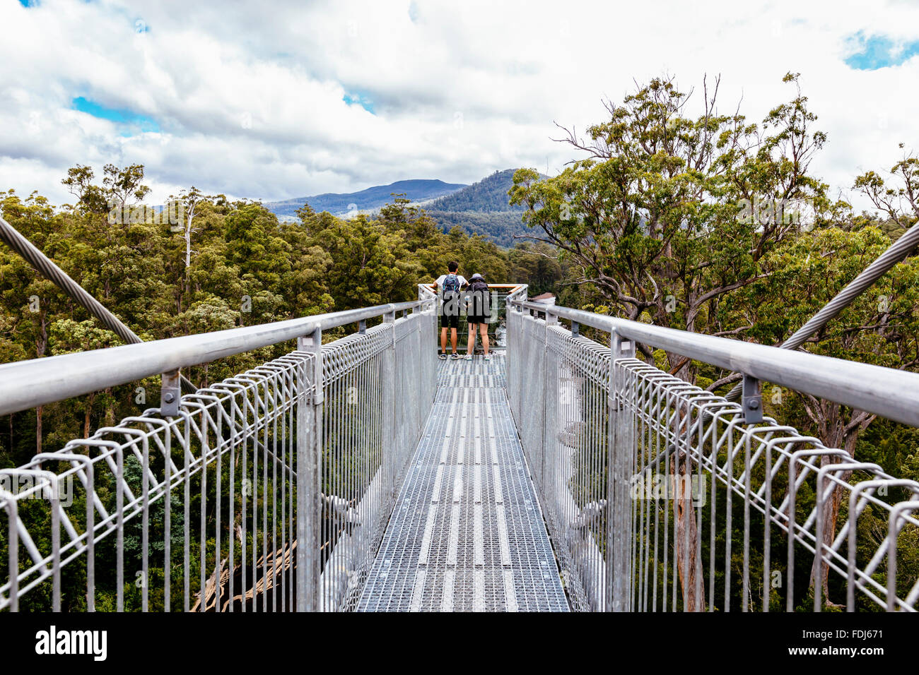 Tahune Airwalk, Geevestone, Huon Valley, Tasmanien, Australien Stockfoto