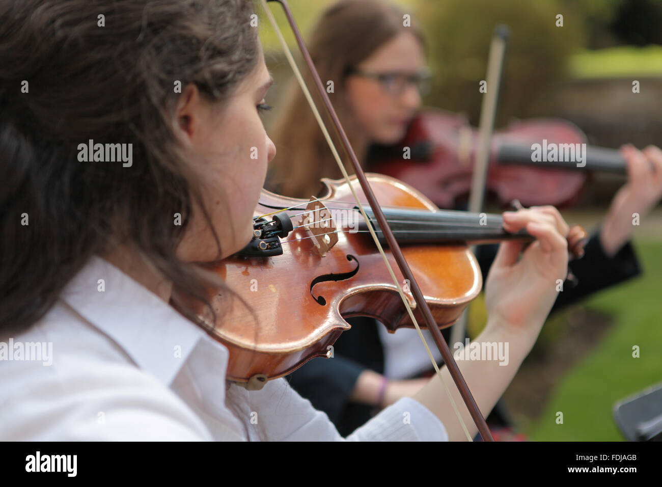 Junge Frau mit dem Geigenspiel Stockfoto