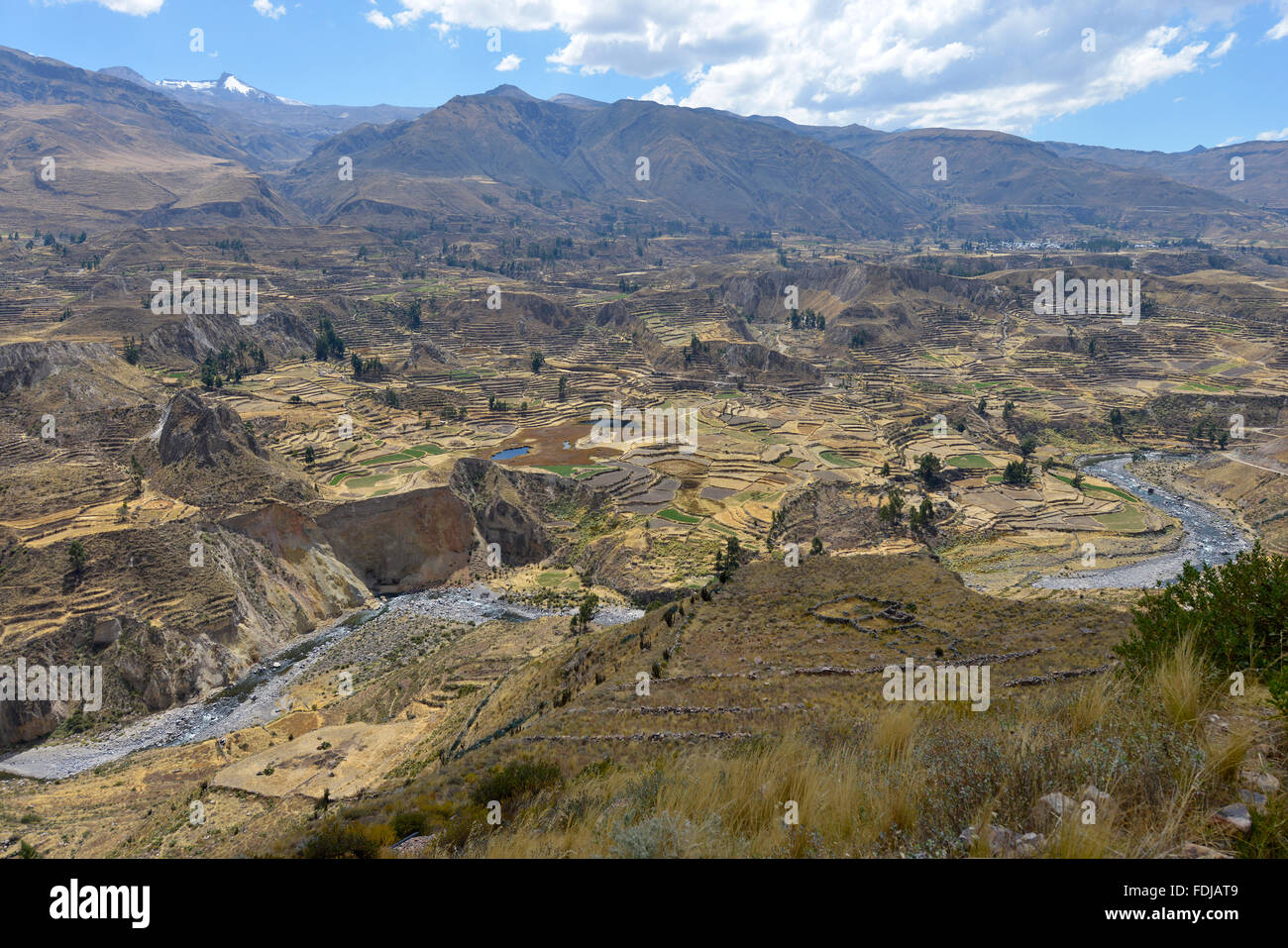 Colca Canyon, Peru. Stockfoto