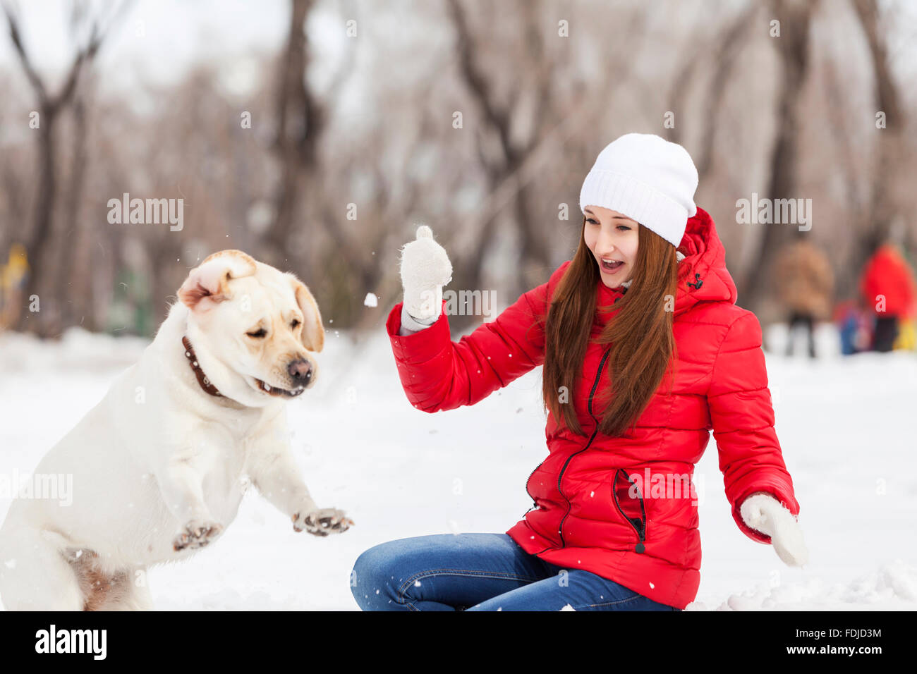 Mädchen mit Labrador Hund auf Spaziergang in Winter park Stockfoto