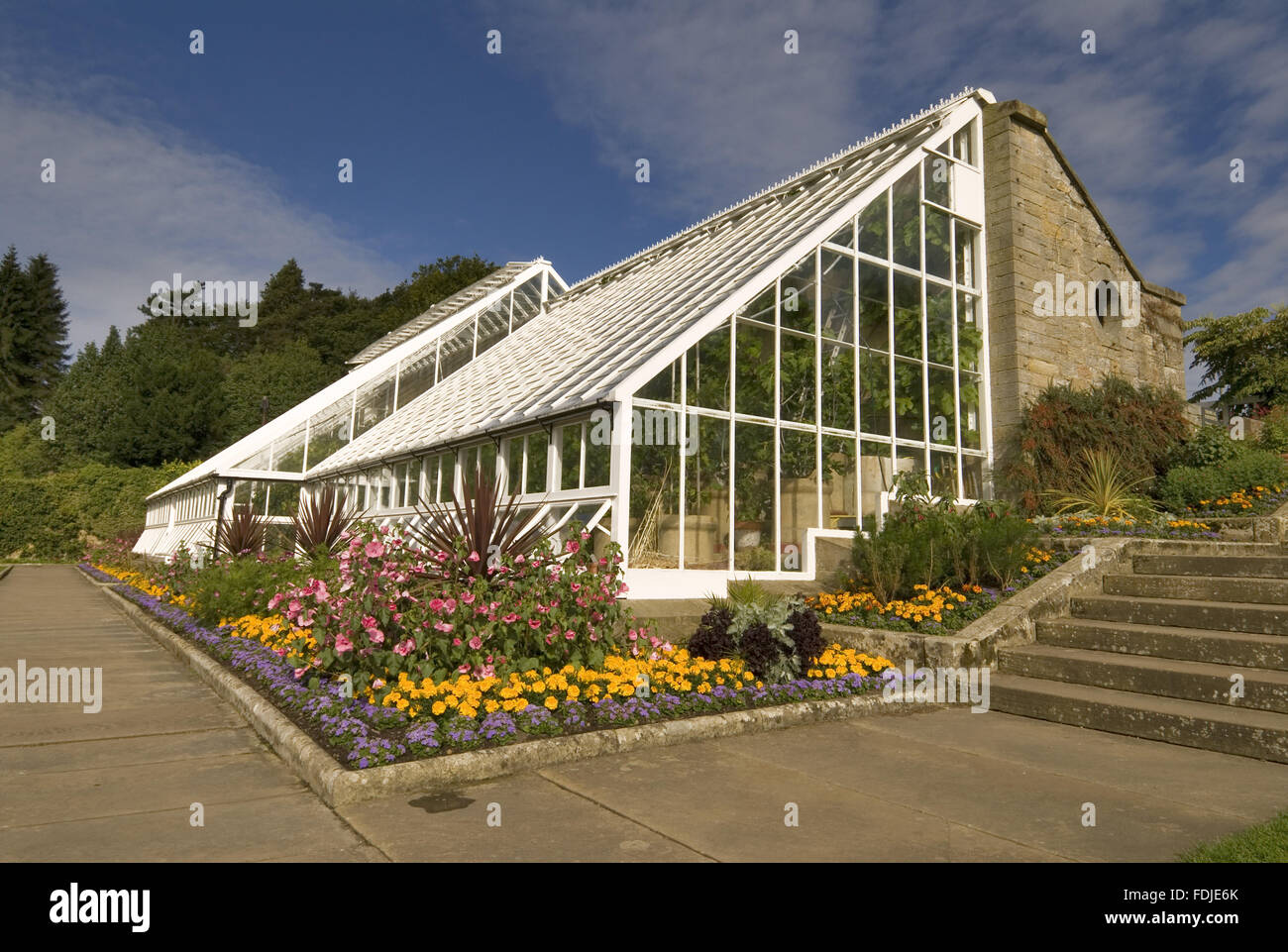 Das Orchard Haus am Cragside, Morpeth, Northumberland. Es ist die größte erhaltene Gewächshaus und stammt aus den 1870er Jahren. Obstbäume im sind vor 1900 Sorten entsprechend der viktorianischen Interesse im Obstbau. Stockfoto