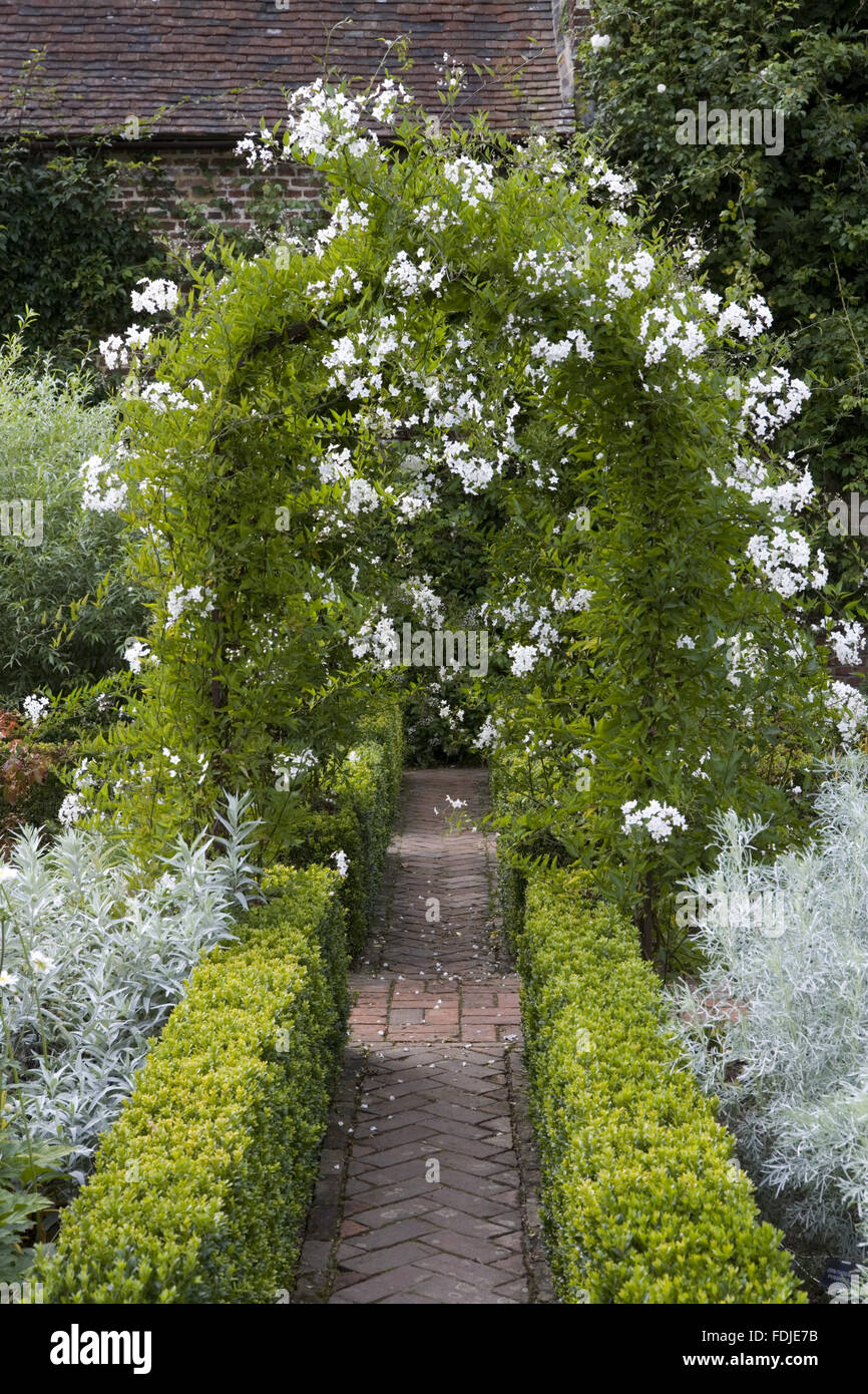 Solanum Jasminoides 'Album' über dem Bogen in der weiße Garten Sissinghurst Castle Garden, in der Nähe von Cranbrook, Kent. Stockfoto