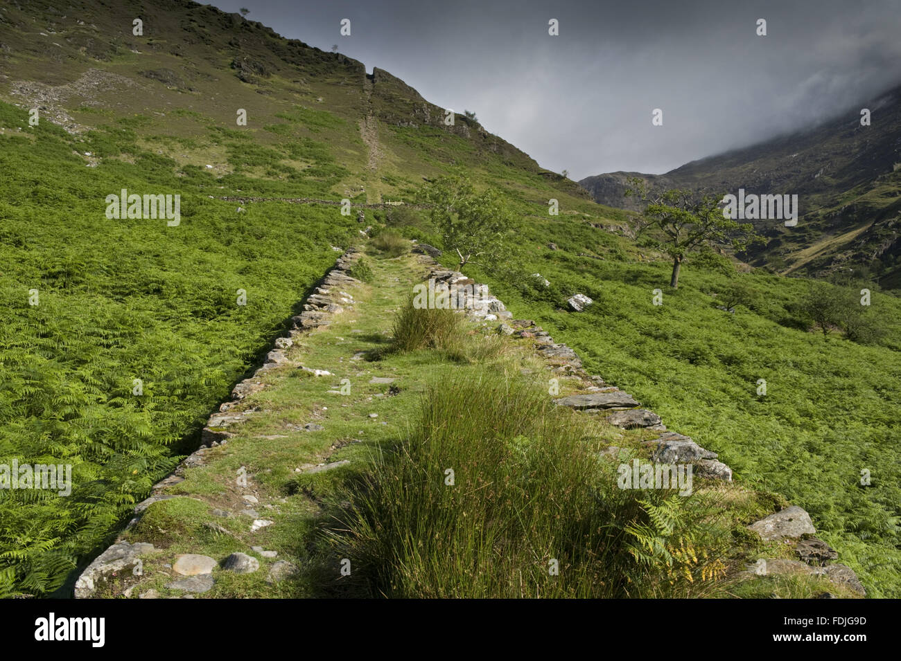 Die Überreste der Grubenbahn verfolgen auf Hafod Y Llan Anwesen, Snowdonia. Das Cwm Erch Kupfer mine arbeitete aus dem siebzehnten Jahrhundert bis ins frühe 20. Jahrhundert und wurde im Jahr 1979 eine geplante Ancient Monument erklärt. Stockfoto