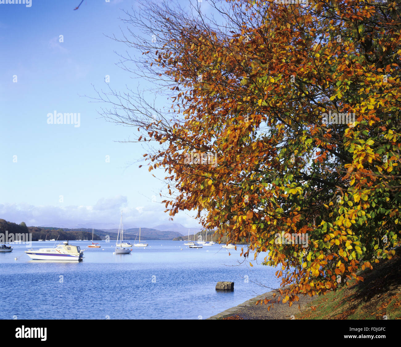 Ruhiger Herbst Szene aus Fell Fuß Park, am Ufer des Lake Windermere, Newby Bridge, Ulverston, Cumbria. Stockfoto