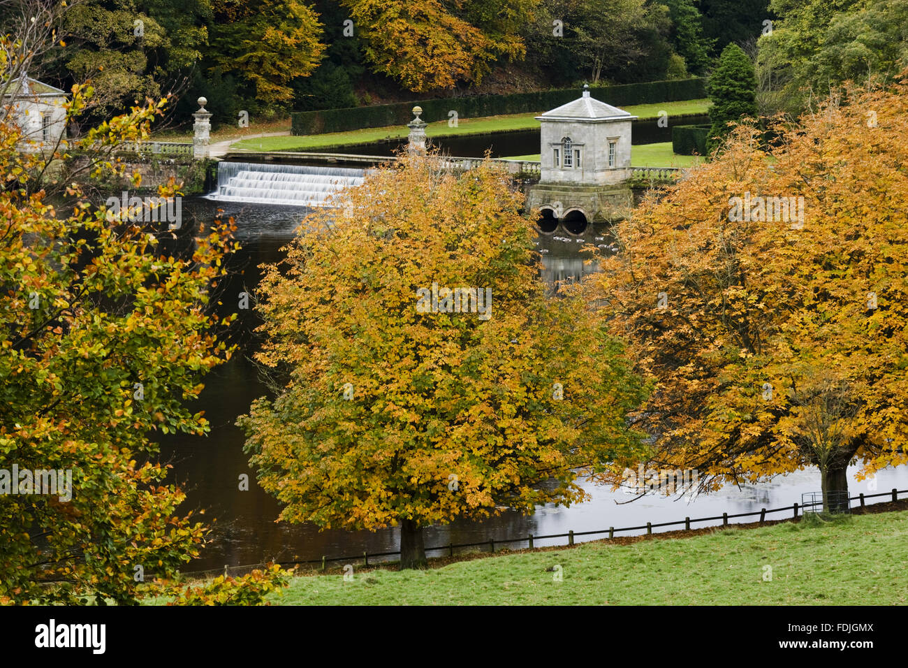 Ein Herbst-Blick auf den See von Deer Park von Studley Royal Water Garden, North Yorkshire. John Aislabie erstellt die Gärten im achtzehnten Jahrhundert rund um den Fluss Skell Incorpoarting die malerischen Ruinen von Fountains Abbey. Stockfoto