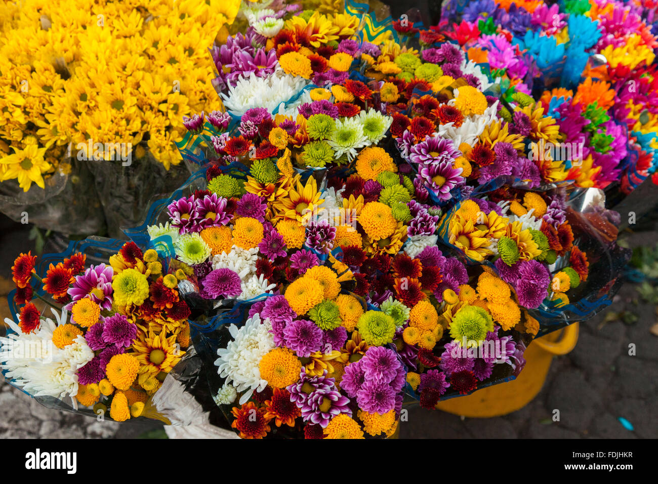 Blumen in Paloquemao Landwirte Blumenmarkt in Bogota, Kolumbien, Südamerika. Stockfoto