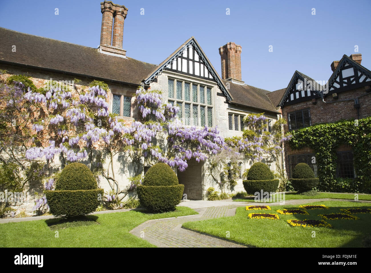 Die 15. Jahrhundert Hof Palette Baddesley Clinton, West Midlands mit einem hübschen Glyzinien klettern die Steinfassade. Garten im Innenhof wurde 1889 von Edward Heneage Dering mit Eiben Hecke, Ziegel Pfade und Bettwäsche, die Darstellung der Ferrers erstellt eine Stockfoto