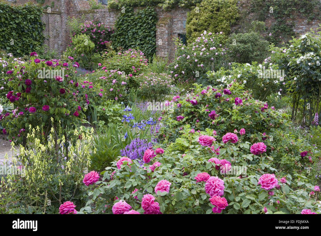 Der Rose Garden Im Juni Auf Sissinghurst Castle Garden In Der