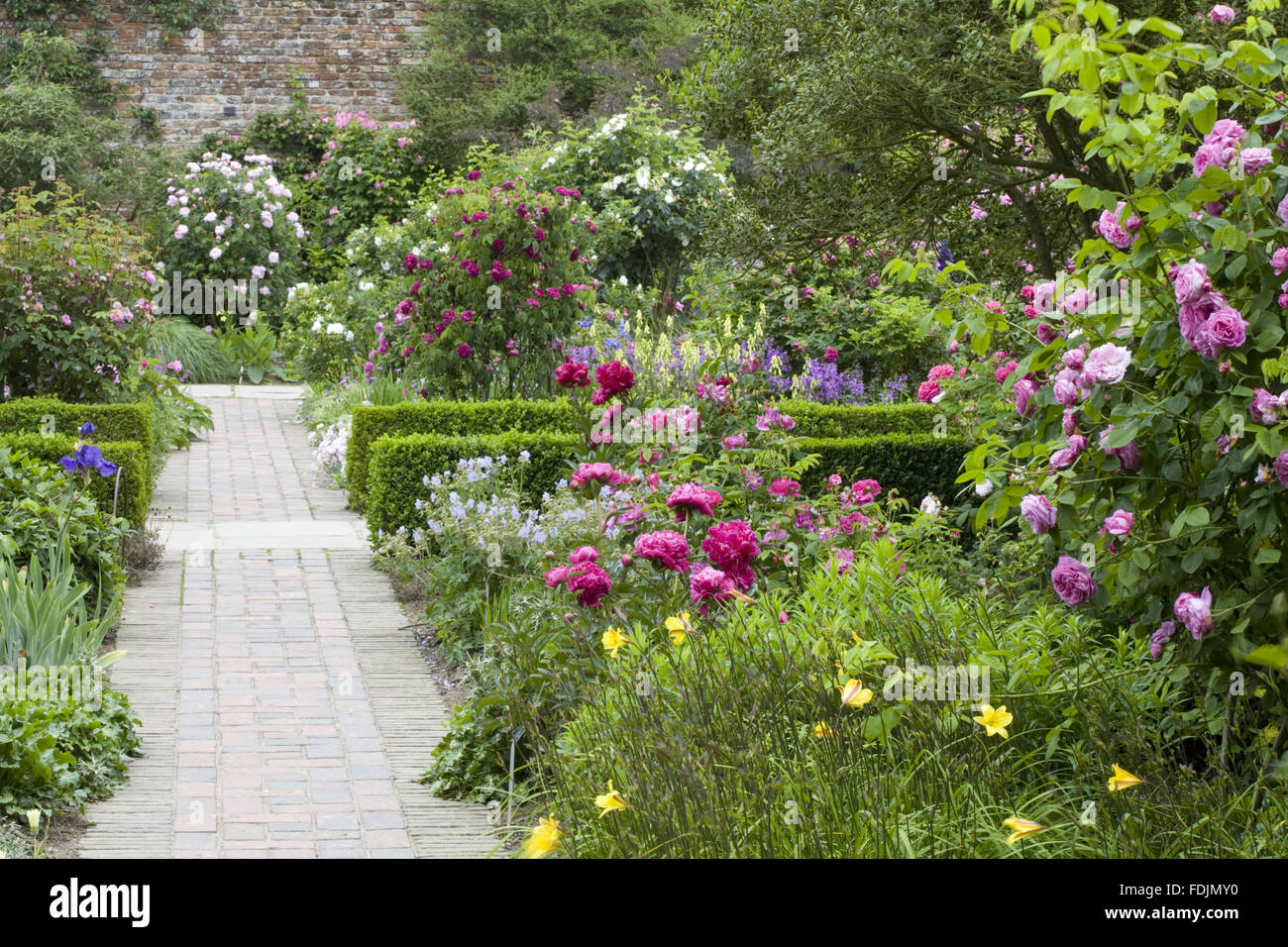Gepflasterten Pfad Im Rose Garden Im Juni Auf Sissinghurst Castle