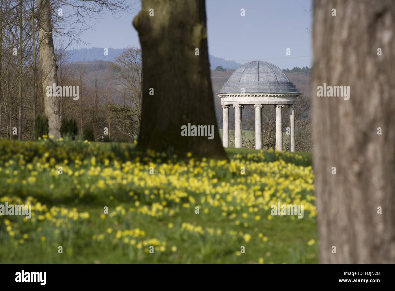 Die Rotunde, die 1766 erbaute und Narzissen im Park Petworth House, West Sussex. Die ionische Rotunde kann von Matthew Brettingham wahrscheinlich inspiriert von Vanbrughs Rotunden entworfen wurden. Stockfoto