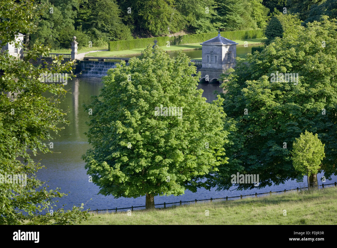 Ein Blick vom Wildpark zum See am Studley Royal Water Garden, angrenzend an das Anwesen bei Fountains Abbey, North Yorkshire. John Aislabie begann die Schaffung der Wassergärten im Jahre 1716 und wurde von seinem Sohn William in der späteren Eightee weiterarbeiten Stockfoto