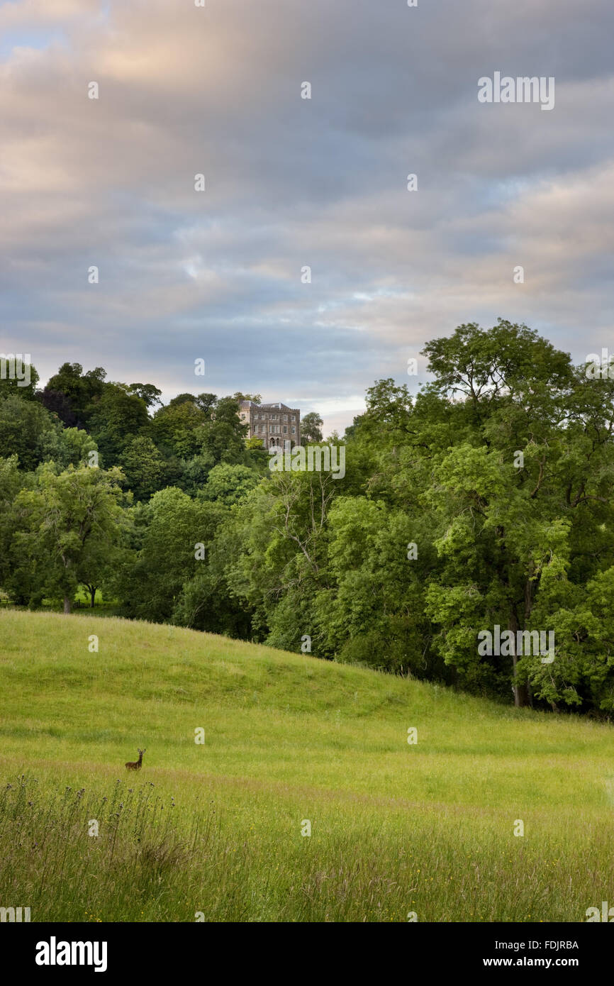 Newark Park, Gloucestershire, hoch oben auf einem Felsvorsprung der Cotswolds, mit Blick auf das Tal des Flusses Severn. Ursprünglich wurden ein elisabethanisches Jagdschloss von Sir Nicholas Poyntz 1550 erbaut, in den 1790er Jahren zugeschrieben James Wyatt Änderungen Stockfoto