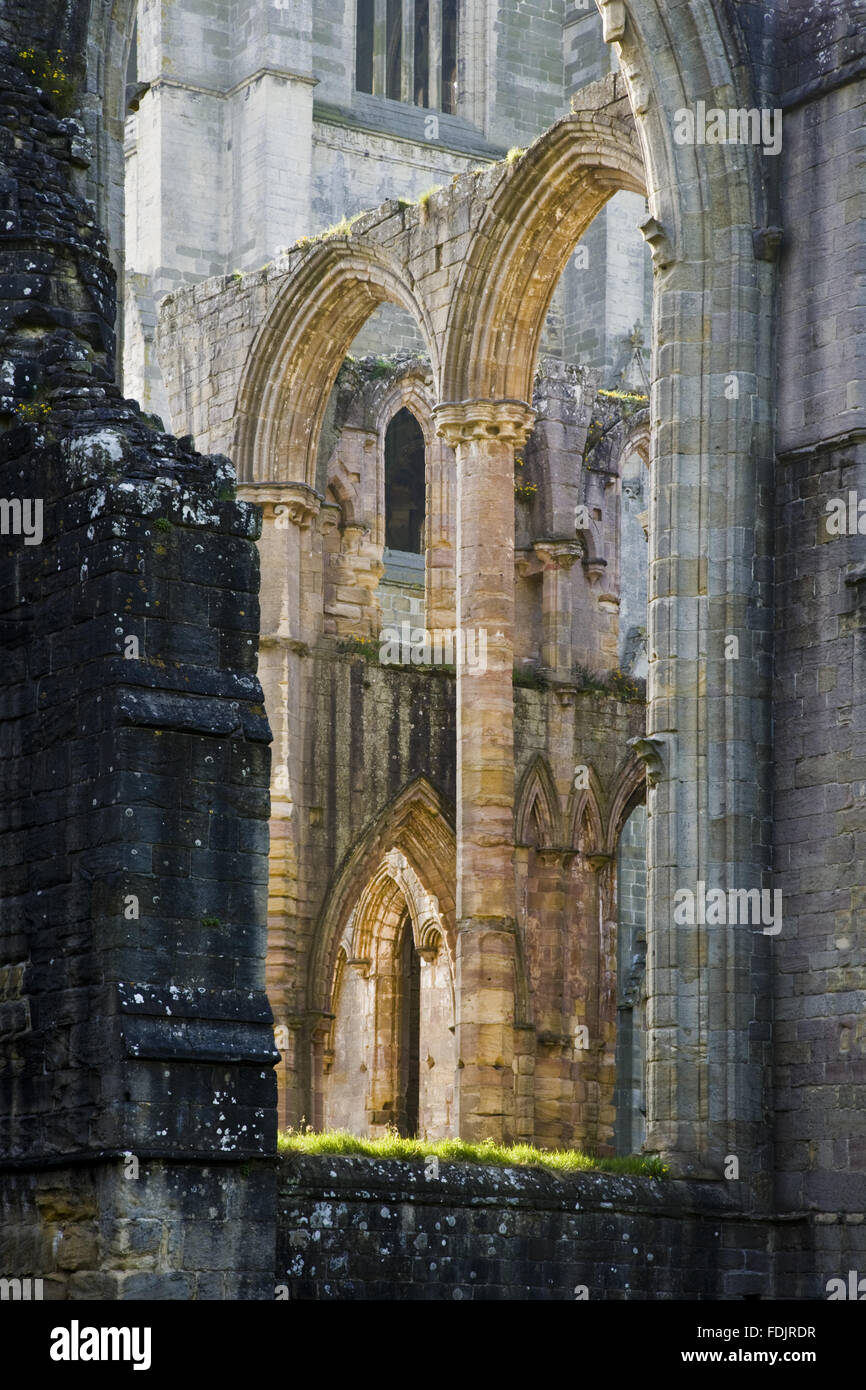 Gewölbtes Fenster Ausnehmungen im Fountains Abbey, North Yorkshire. Die Abtei und Immobilien, begonnen im zwölften Jahrhundert von einer Gemeinschaft von Zisterziensermönchen blühte bis zur Auflösung im Jahre 1539. Stockfoto