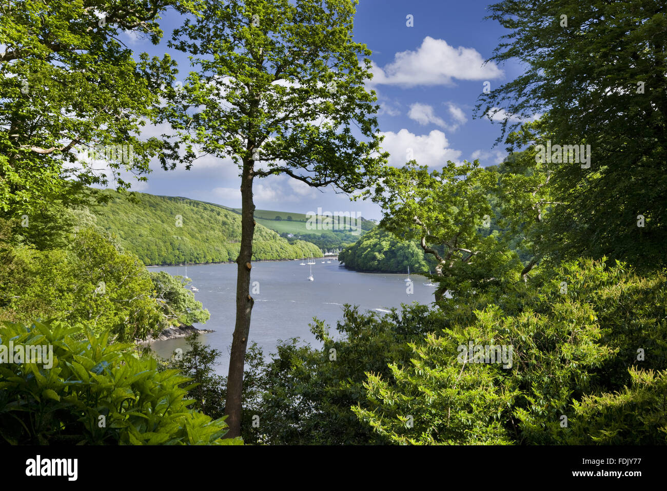 Blick auf die Dart-Mündung flussabwärts von Greenway, Devon, die das Ferienhaus der Krimiautorin Agatha Christie war. Stockfoto