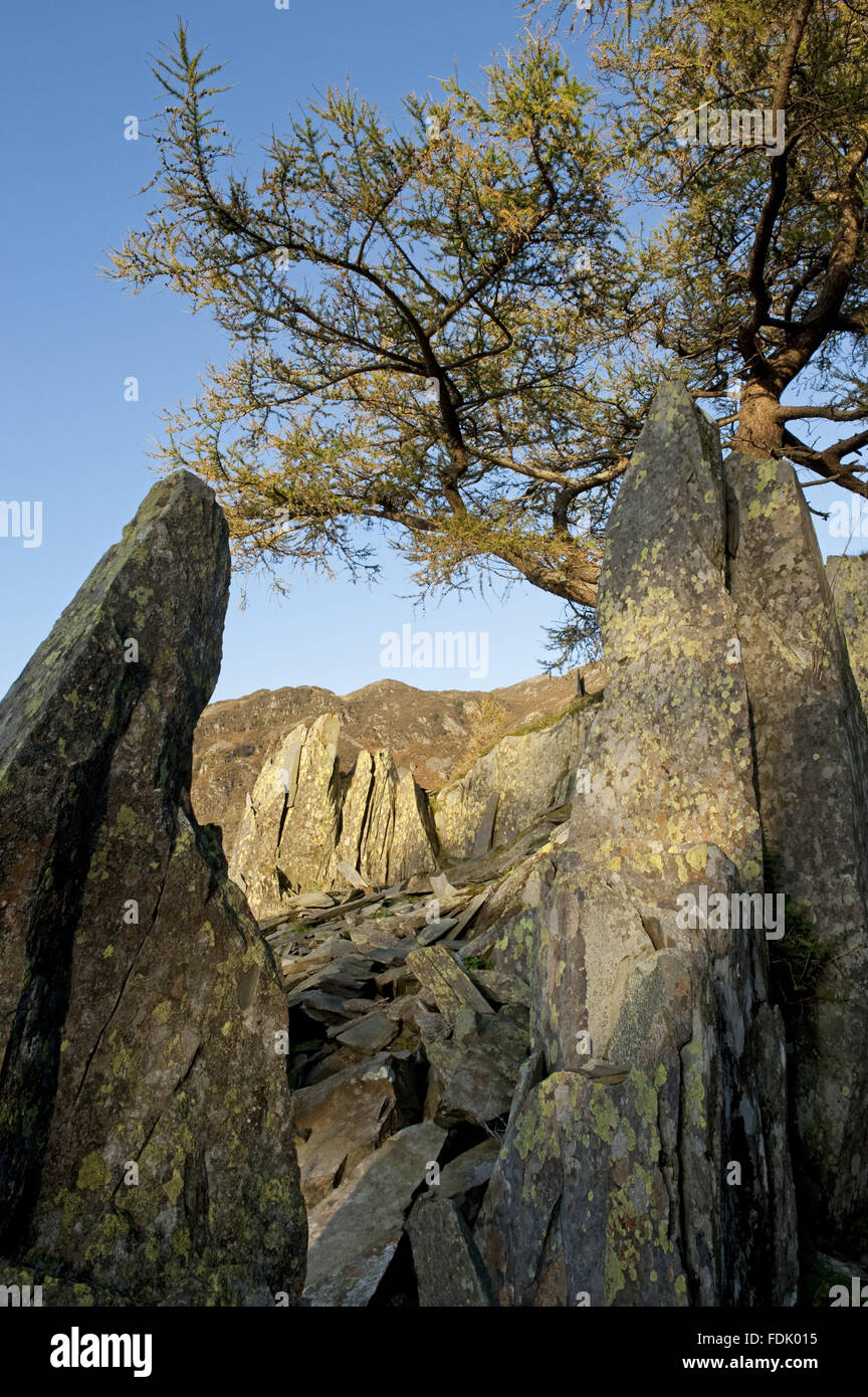 Die skulpturale Überreste der Schiefer Steinbruch durchgeführt am Schloss Fels, Borrowdale, Lake District, Cumbria. Stockfoto