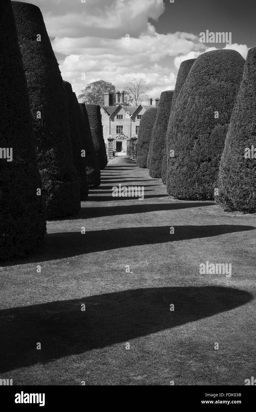 Schwarz / weiß-Blick in Richtung Packwood House, Warwickshire, durch die abgeschnittene Eiben der zwölf "Apostel" im Garten. Stockfoto