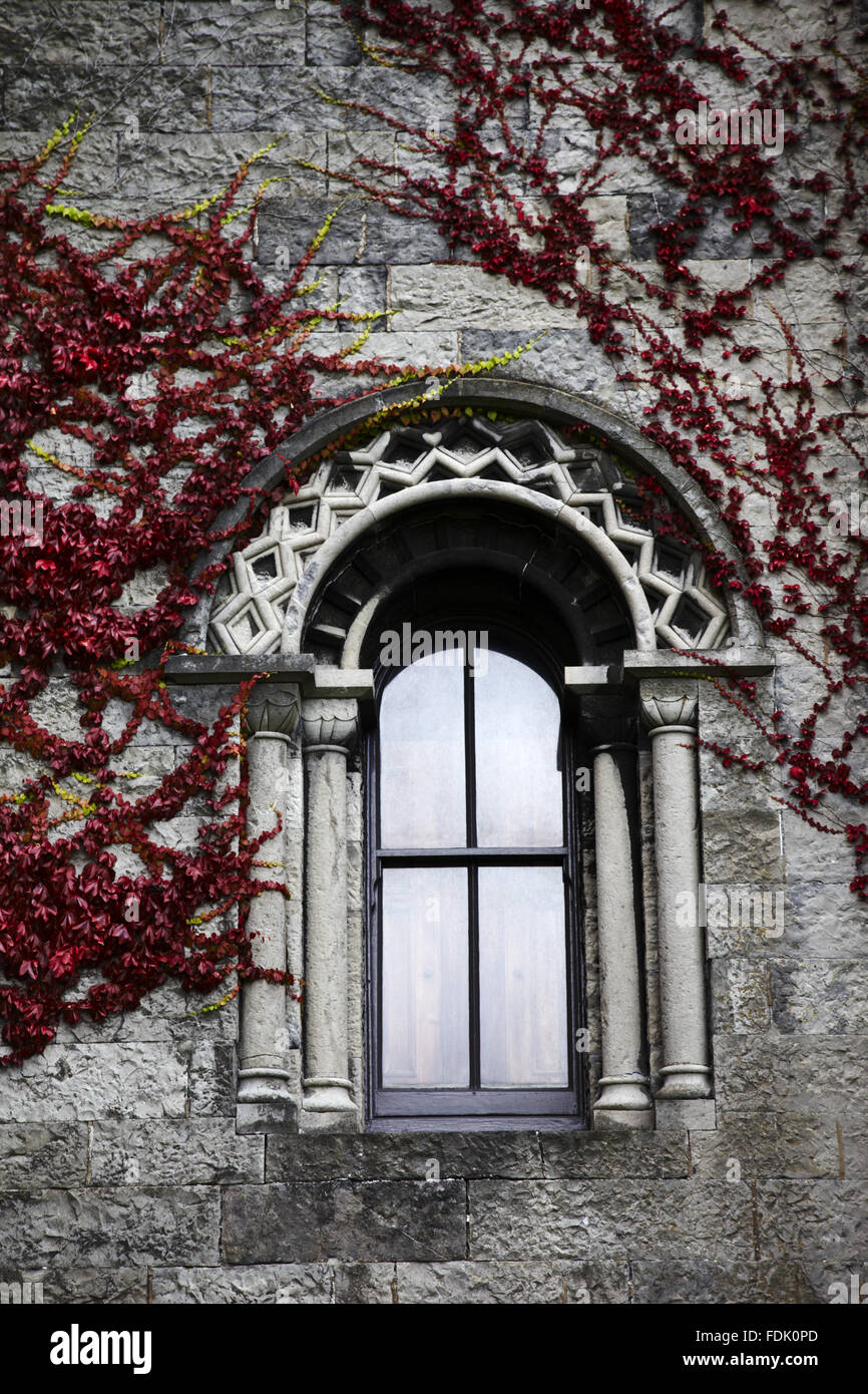 Norman Zick-Zack-Muster um einen Fensterbogen Penrhyn Castle, Gwynedd, Wales. Der Architekt war Thomas Hopper und die Burg wurde zwischen 1820 und 1845 in einem Neo-normannischen Stil gebaut. Stockfoto