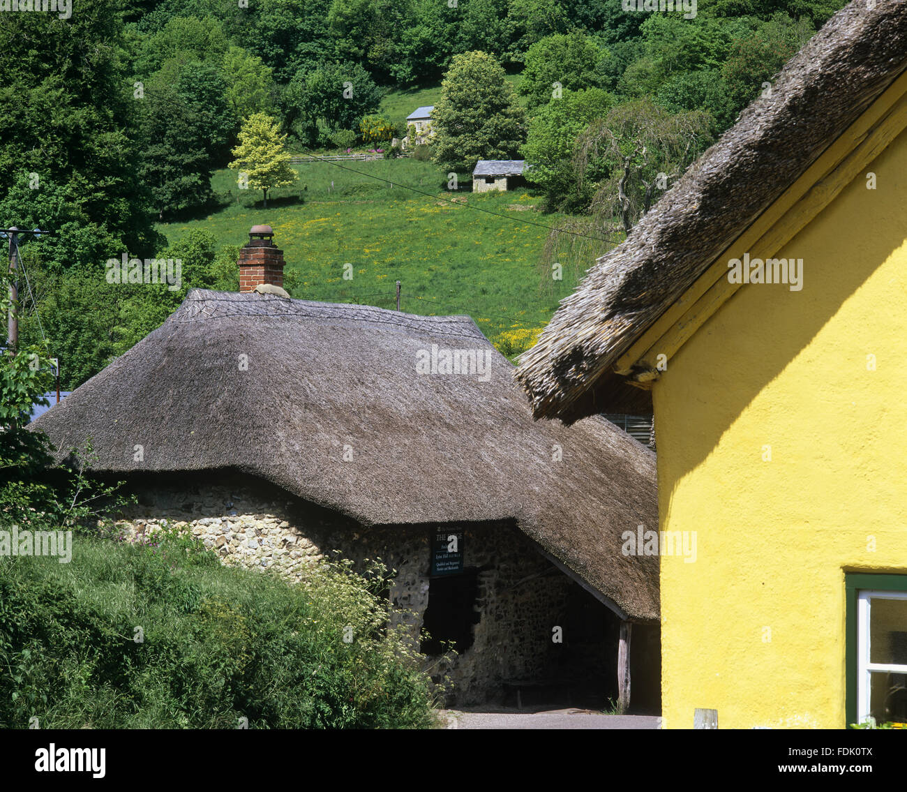 Der alte Stein- und Strohdach Schmieden bei Branscombe, Devon. Die Schmiede ist täglich geöffnet und nach wie vor produziert Schmiedearbeiten. Stockfoto
