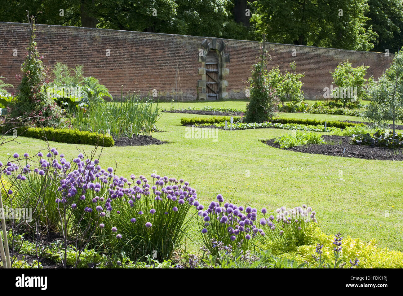 Kräuter und Betten in den Walled Garden umfasst 4 Hektar auf Gibside, Newcastle Upon Tyne. Gemüse wachsen organisch in den Walled Garden. Stockfoto