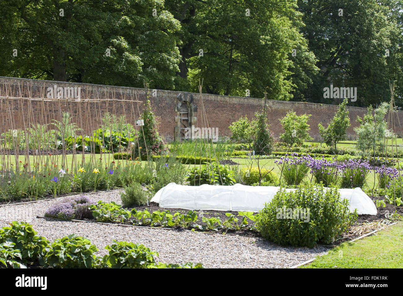 Die Walled Garden umfasst 4 Hektar auf Gibside, Newcastle Upon Tyne. Gemüse wachsen organisch in den Walled Garden. Stockfoto