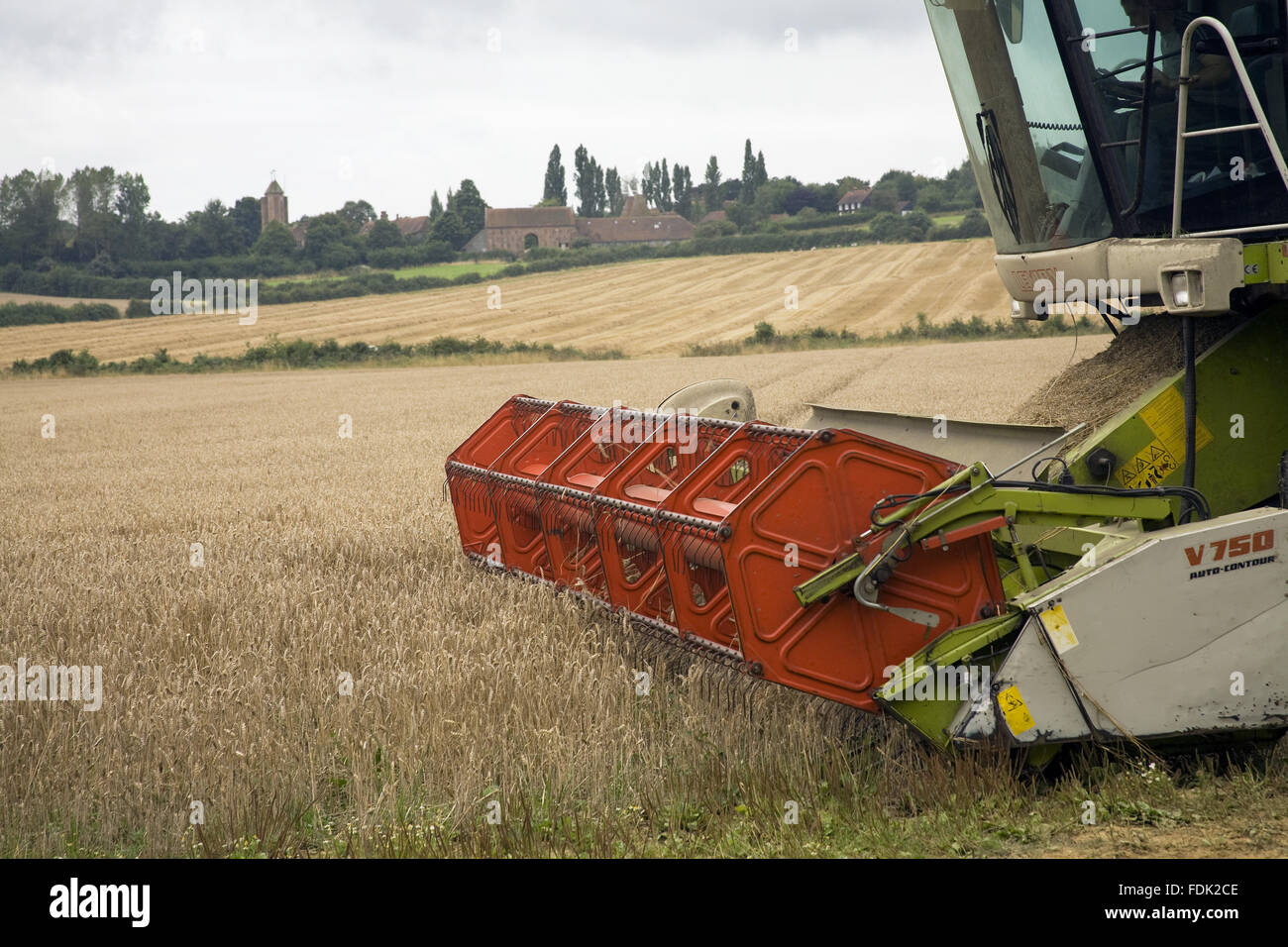 Erntezeit im August auf Sissinghurst Castle, in der Nähe von Cranbrook, Kent. Ein Projekt soll den Garten Sissinghurst mit der umliegenden Landschaft Bauernhof, zu verbinden, indem man einen Gemüsegarten um das Restaurant mit Bio-Produkten und Re-Establishi liefern Stockfoto