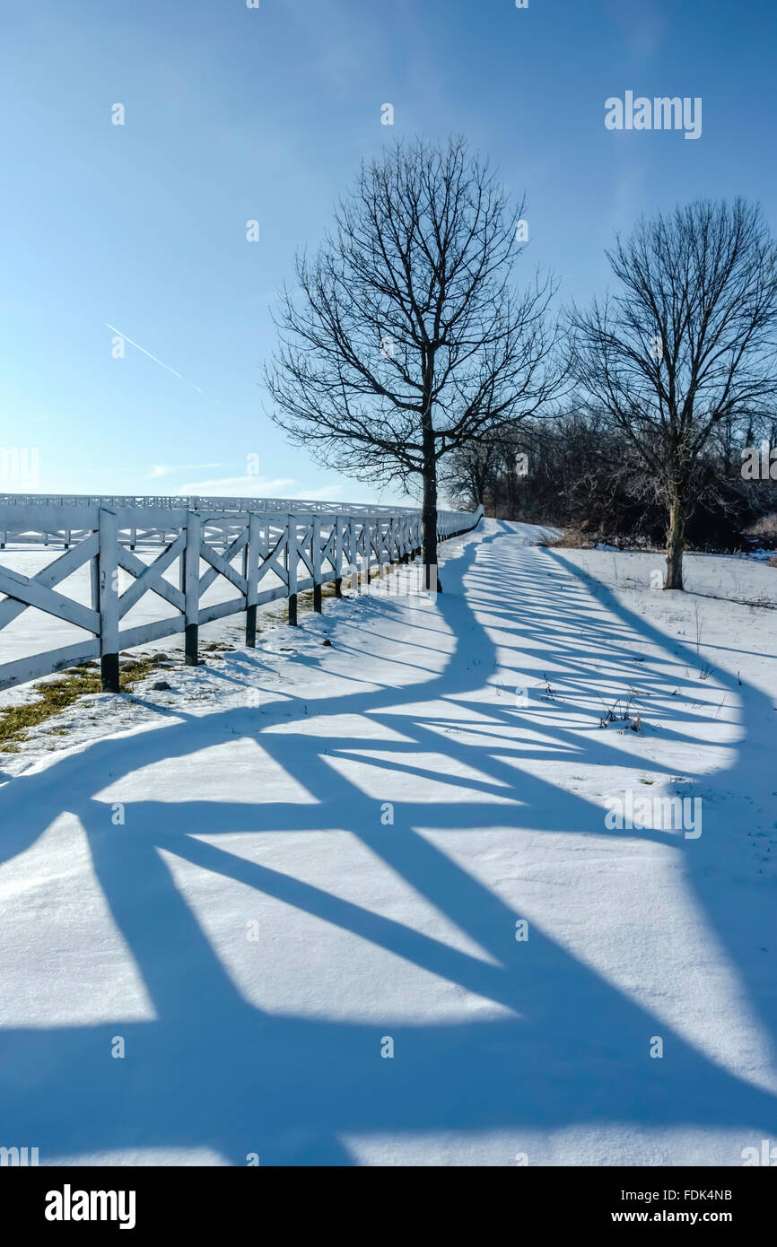 Holzzaun am Rande eines Feldes, Illinois, USA Stockfoto