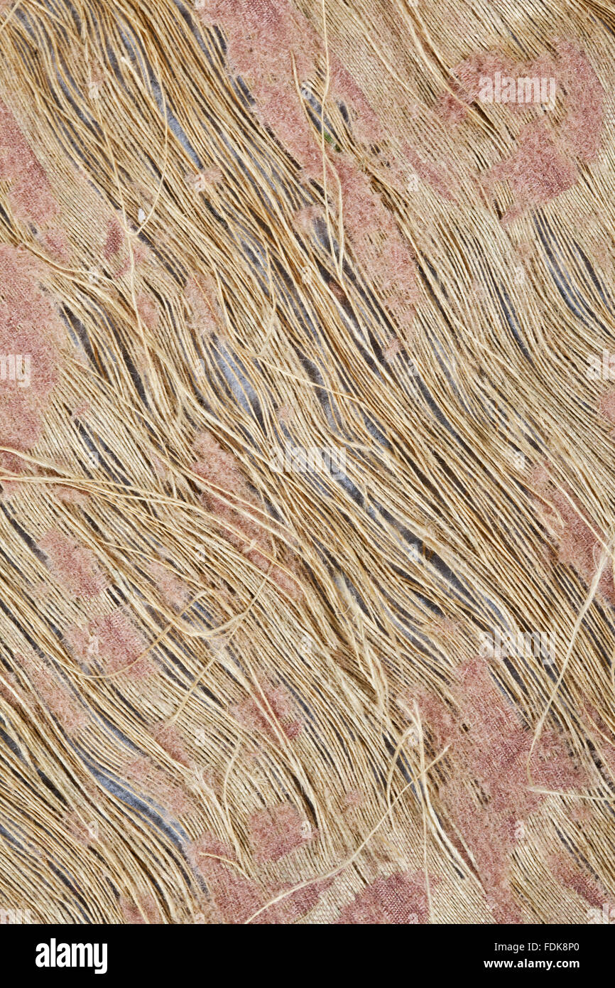 Erhaltung des siebzehnten Jahrhunderts Ham House Königin Vorzimmer Wallhangings, im Textile Conservation Studio Mai Berkouwer. Der Wandbehang hat blaue Seidensamt Grenzen bestickt mit vergoldeten Silberfäden rund um Ersatz Damast-panel Stockfoto Erhaltung des siebzehnten Jahrhunderts Ham House Königin Vorzimmer Wallhangings, im Textile Conservation Studio Mai Berkouwer. Der Wandbehang hat blaue Seidensamt Grenzen bestickt mit vergoldeten Silberfäden rund um Ersatz Damast-panel Stockfoto