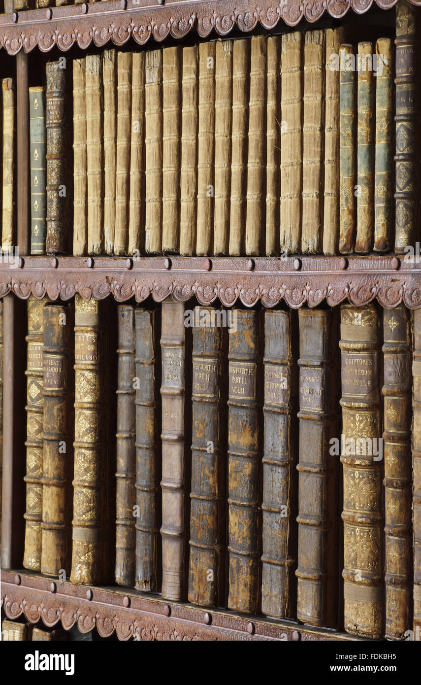 Detail des neunzehnten Jahrhunderts Bibliothek Bücherregale in Chirk Castle, Wrexham. Stockfoto