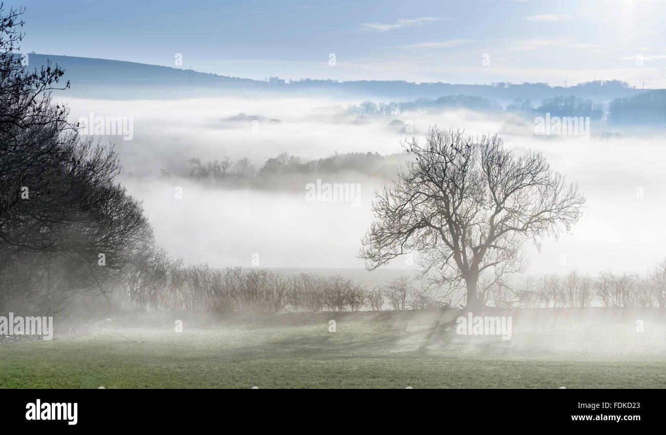 Morgennebel über dem Lanchester Valley in der Grafschaft Durham Stockfoto
