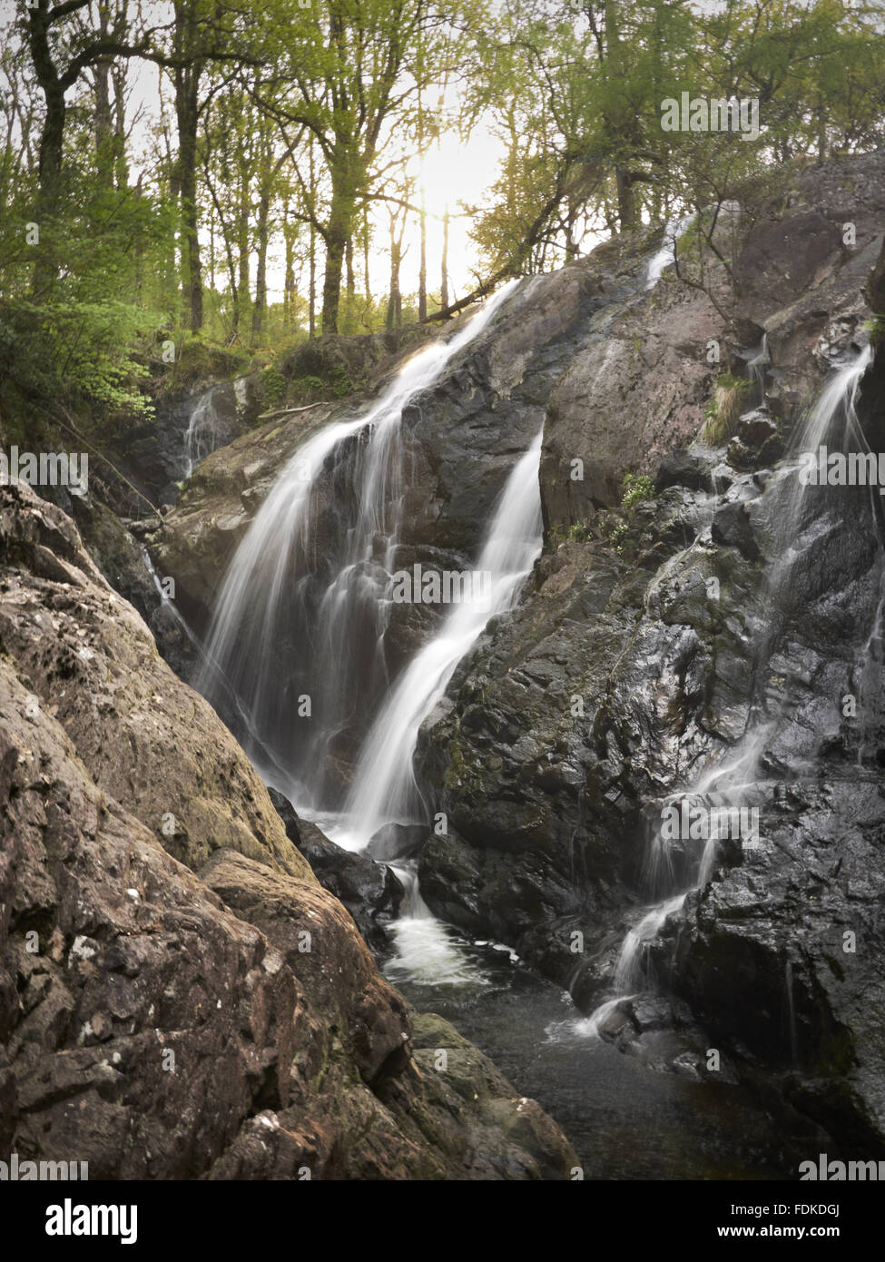 Rhaeadr Ddu Wasserfall am Fluss Gamlan, Dolmelynllyn, Gwynedd, Wales. Stockfoto