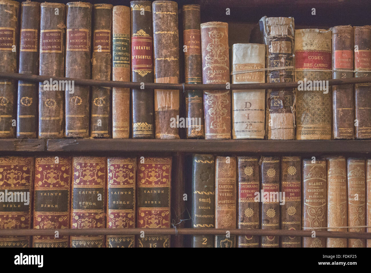 Antiquarische Bücher auf Holzregalen Stockfoto