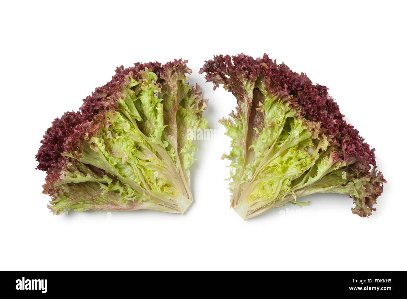 Innen frisch Lollo Rosso Salat auf weißem Hintergrund Stockfoto