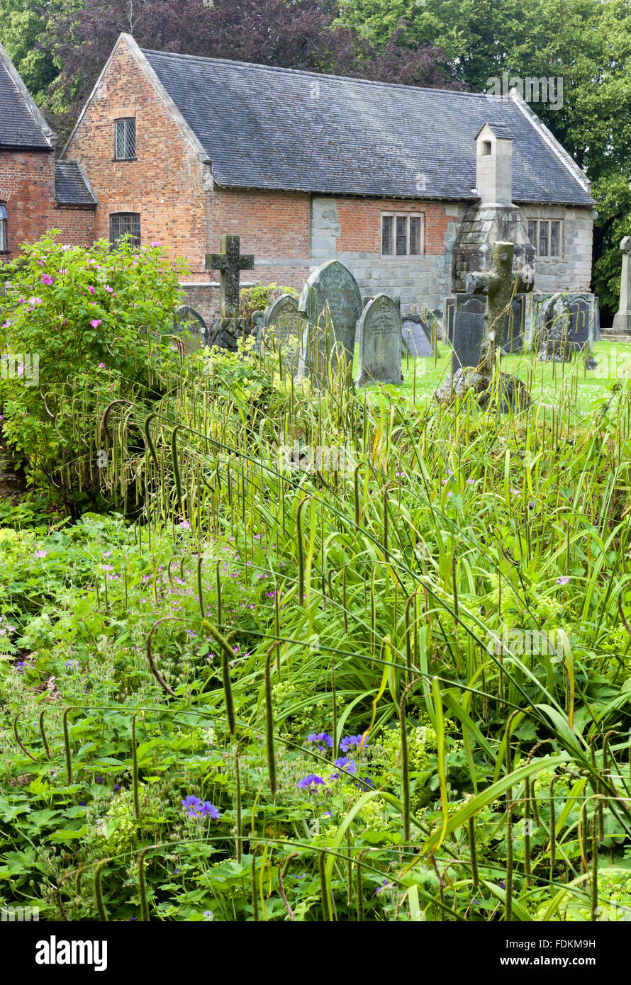 Die Wiederherstellung Periode Fassade des The Old Manor, Norbury, Derbyshire, gesehen aus dem Kirchhof. Stockfoto