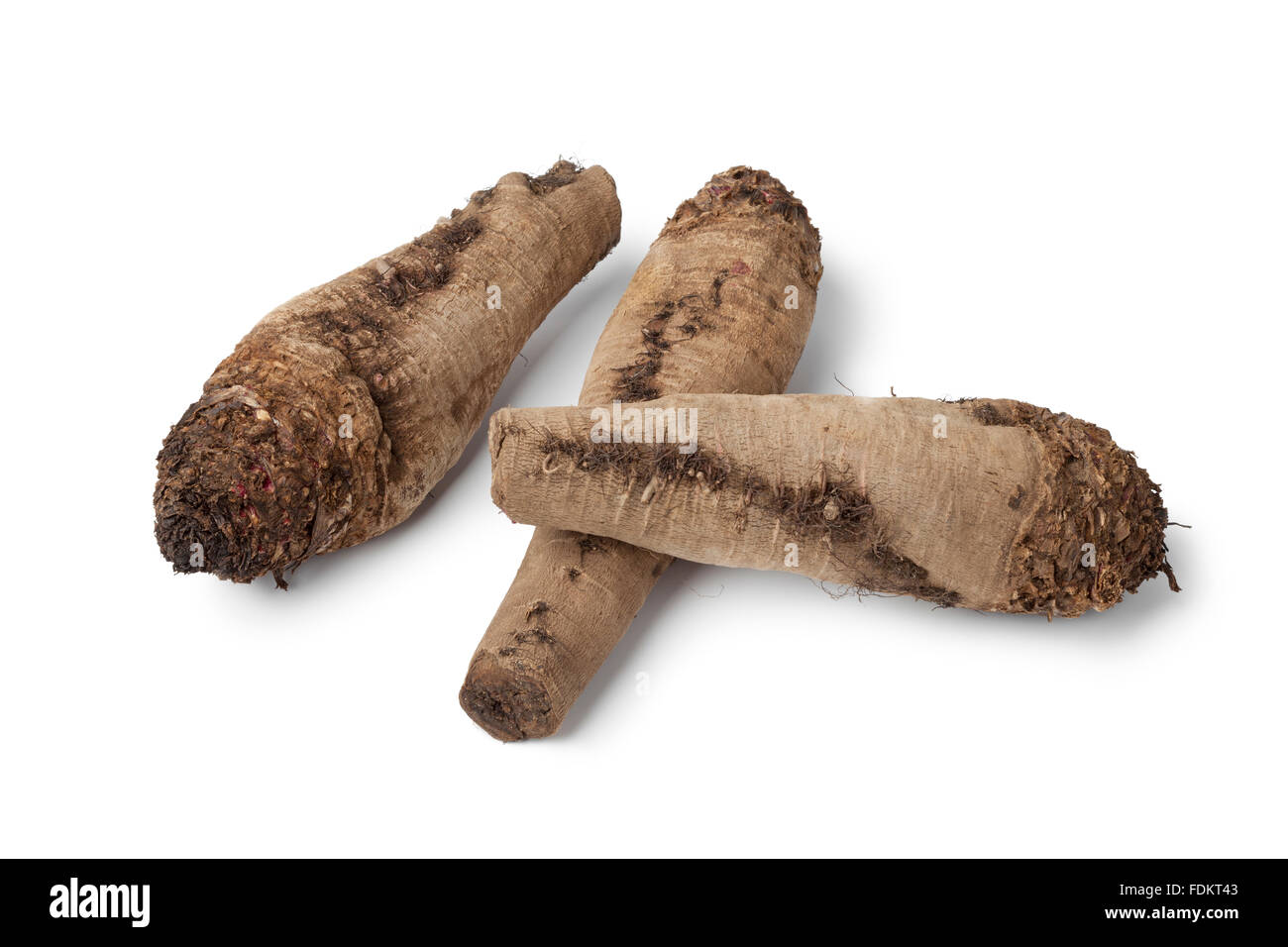 Bio Erbstück Rüben auf weißem Hintergrund Stockfoto
