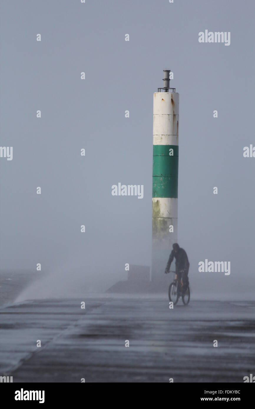 Aberystwyth Wales UK, 2016, Dare Devil Radfahrer gruben sich gegen riesige Wellen angetrieben von orkanartigen Winden während der Winterstürme Stockfoto
