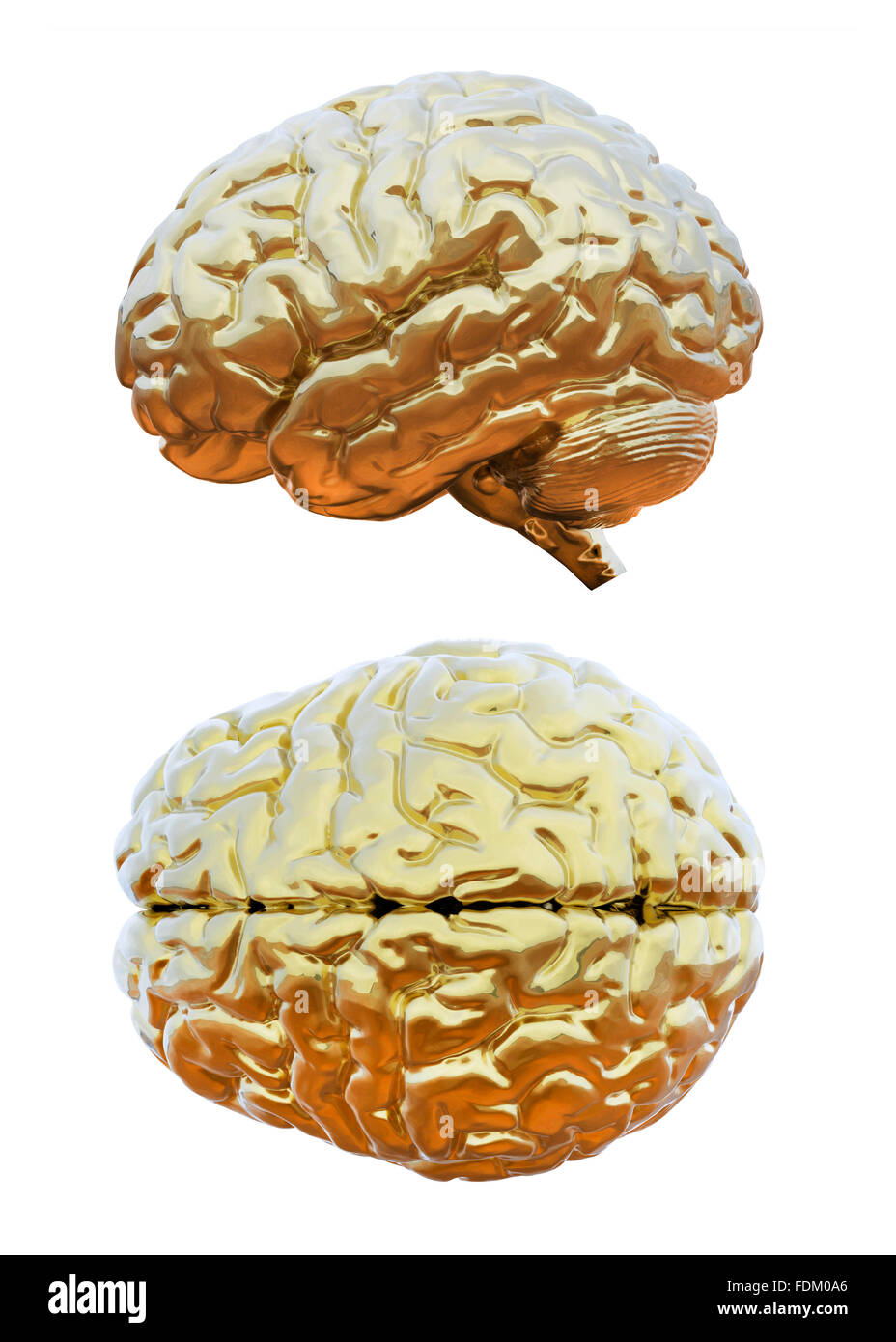 Menschliche Gehirn golden Stockfoto