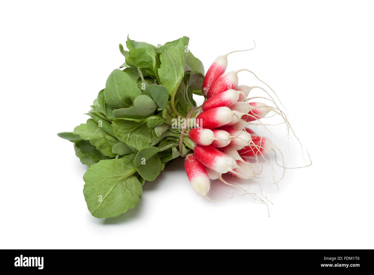 Frische ovalen roten und weißen Rettich auf weißem Hintergrund Stockfoto