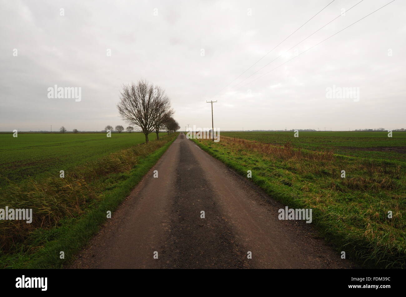 Gasse nördlich von Welney Norfolk Fens Stockfoto