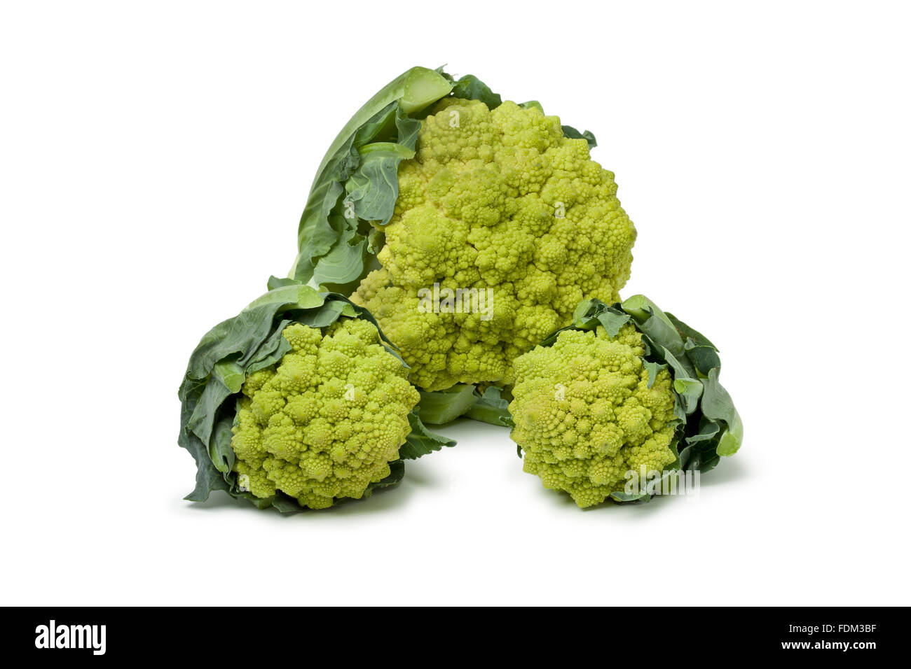 Frische große und Mini Romanesco Kohl auf weißem Hintergrund Stockfoto